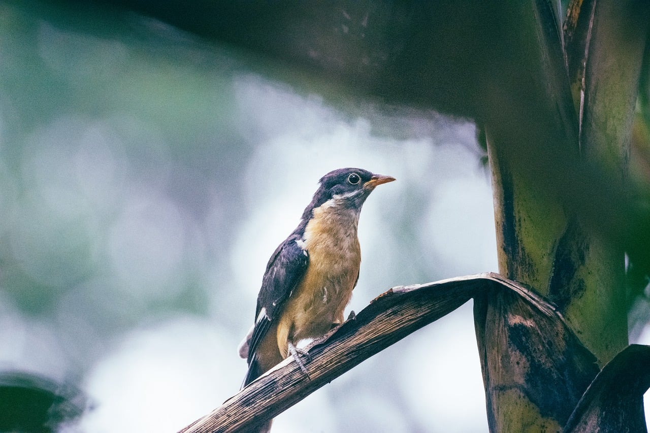Is Best Online Slot Promotions India With Upi Legal in India? Full Legal Analysis 2027