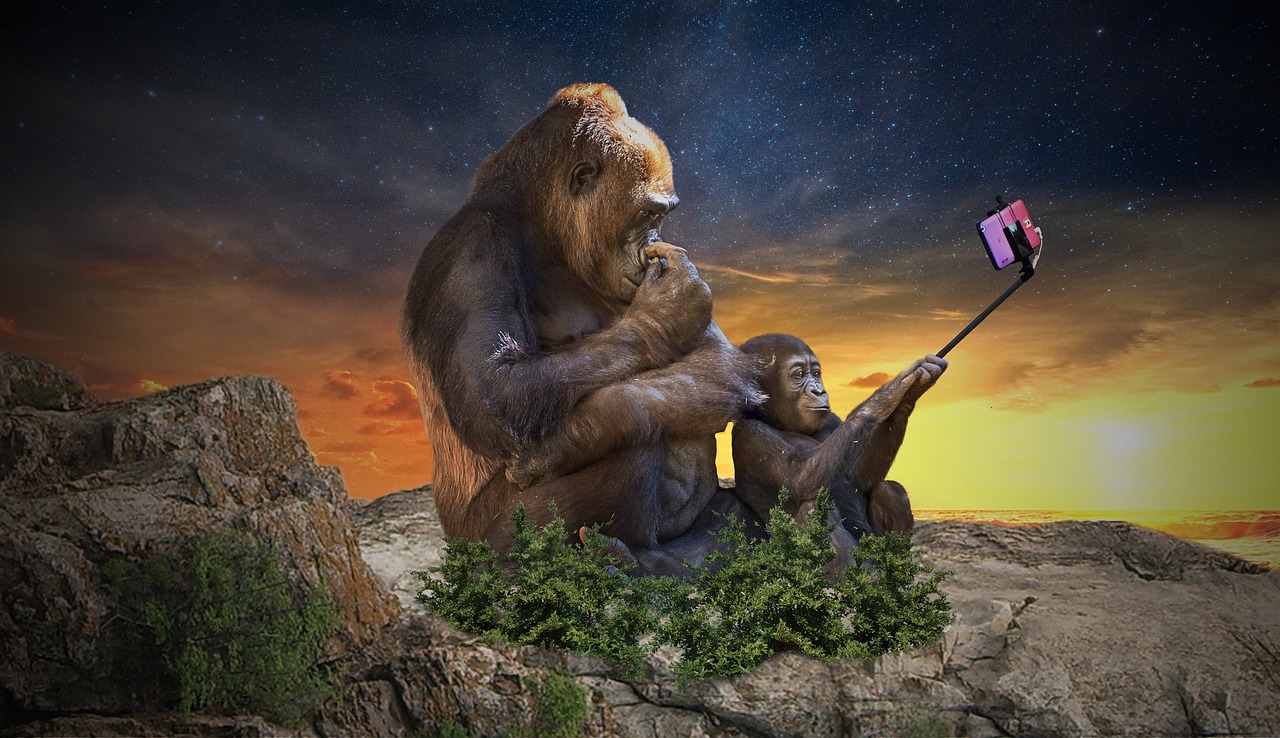 Mobile Fun88 Review Review 2027: Bonus, App, Withdrawal Tested
